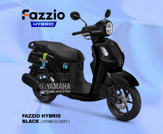 Fazzio - Image 2