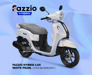 Fazzio