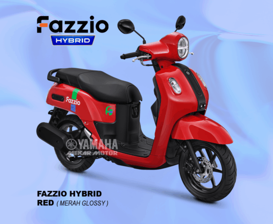 Fazzio - Image 8