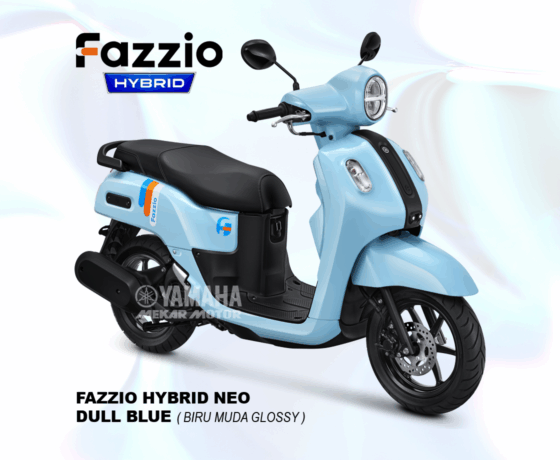 Fazzio - Image 7