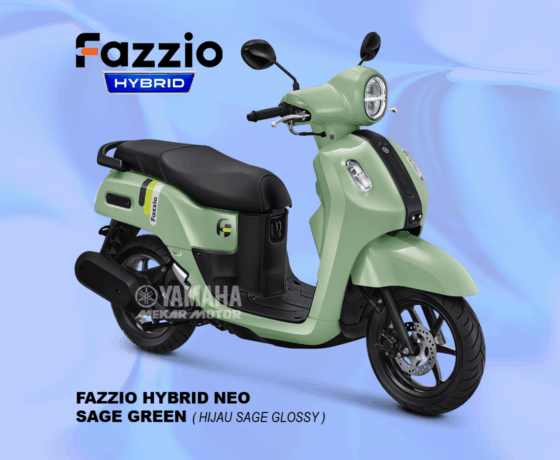 Fazzio - Image 6