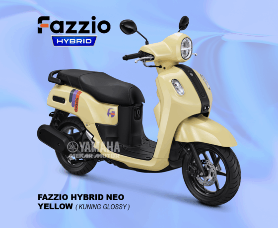 Fazzio - Image 5