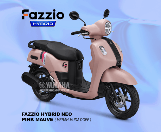 Fazzio - Image 4