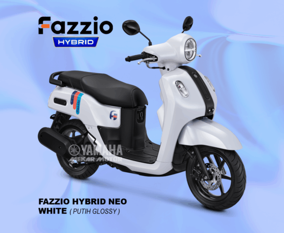 Fazzio - Image 3
