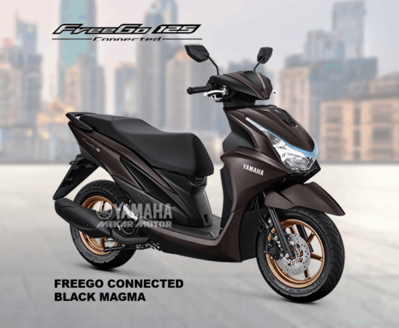 FREEGO 125 CONNECTED - Image 2