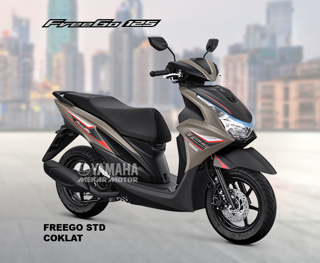 FREEGO 125 STD Version - Image 5