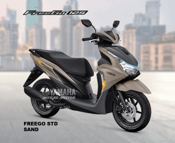 FREEGO 125 STD Version - Image 2
