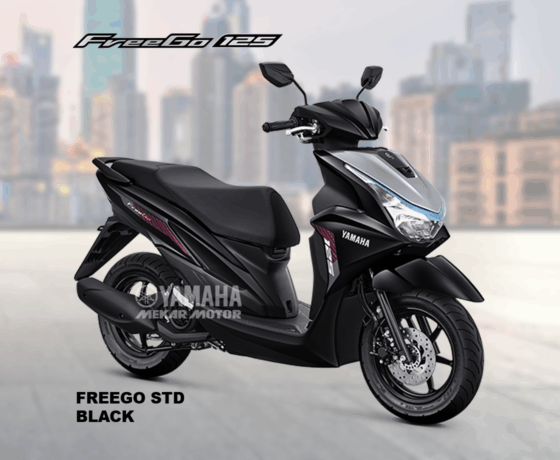 FREEGO 125 STD Version - Image 3