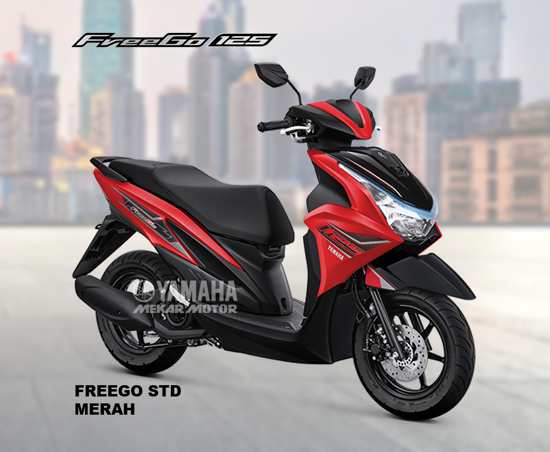 FREEGO 125 STD Version - Image 4