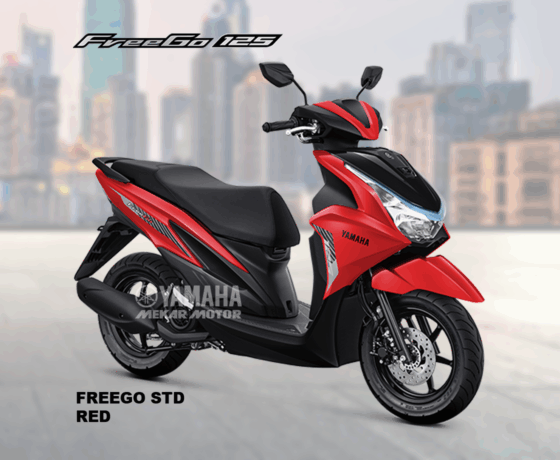 FREEGO 125 STD Version - Image 4