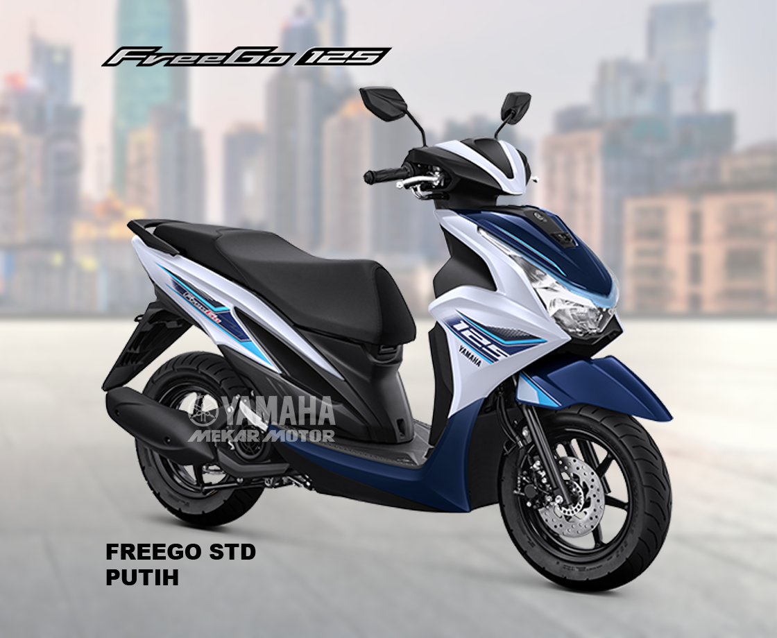 FREEGO 125 STD Version - Image 3