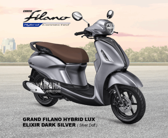 Grand Filano - Image 6