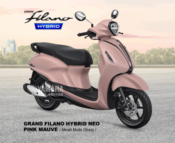 Grand Filano - Image 3