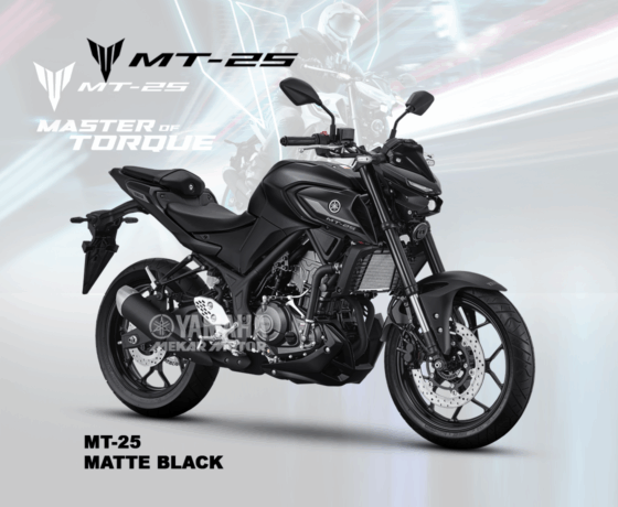 MT 25 - Image 2