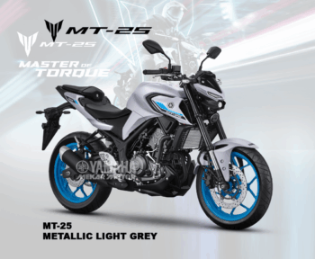 MT 25