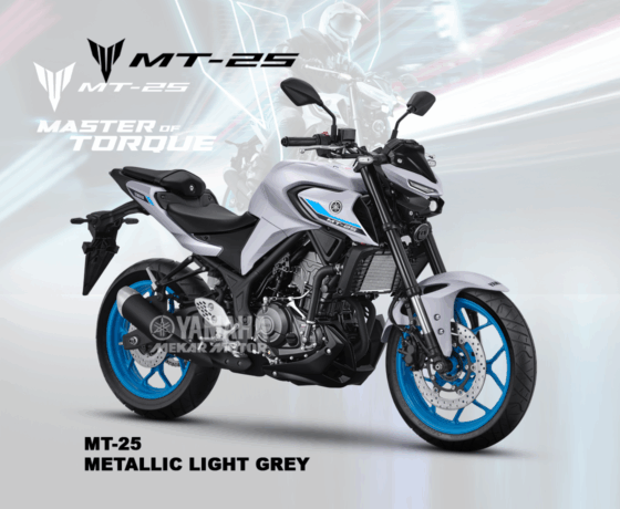 MT 25