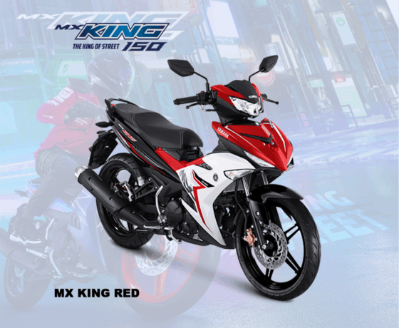 MX King 150 - Image 2