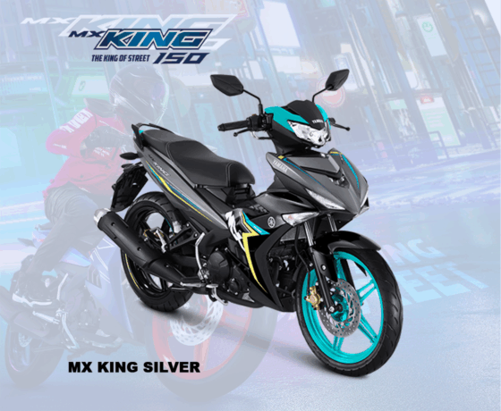 MX King 150 - Image 3