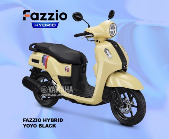 Fazzio - Image 11