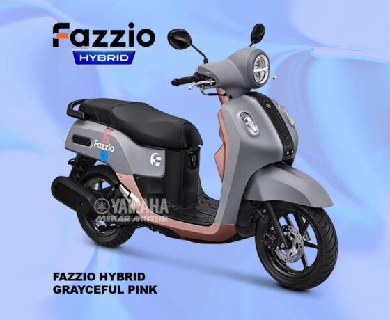 Fazzio - Image 10