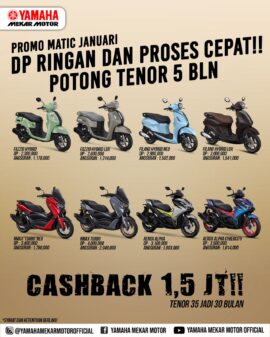 WhatsApp Image 2026-01-19 at 16.53.26 WhatsApp Image 2026-01-19 at 16.53.26