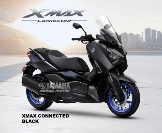 XMAX 250 - Image 2