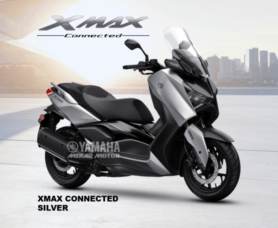 XMAX 250 - Image 3