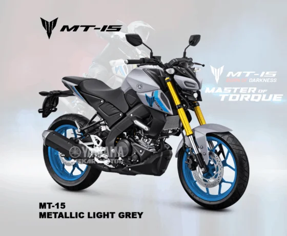 MT-15 - Image 2